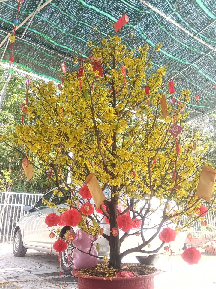 Đất nền Đồng Khởi Tây Ninh 1000m² giá 110 triệu - Tiềm năng tăng giá!