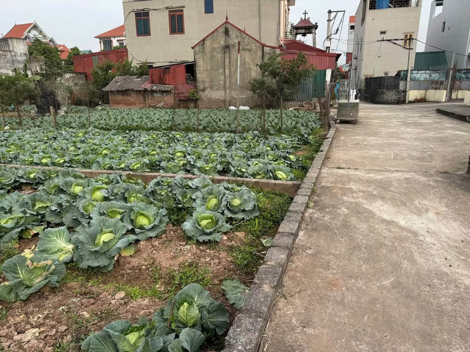 Đất nền Phú Mỹ Hà Đông 45m² giá 2 tỷ - Sổ đỏ chính chủ