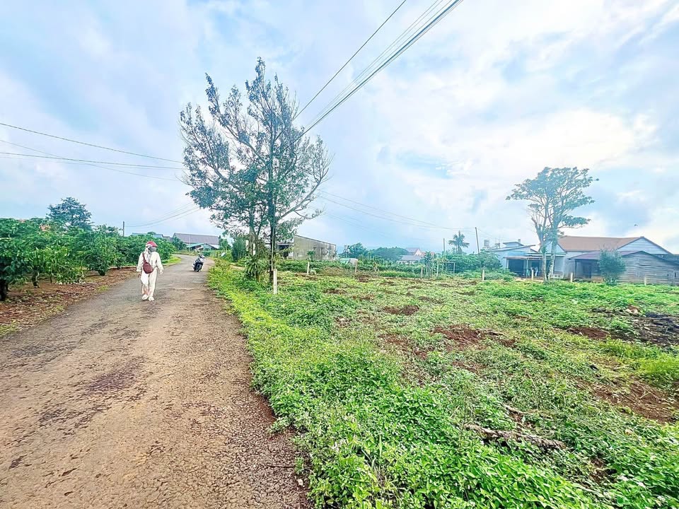 Đất Mặt Tiền Âu Cơ Bảo Lộc 1080m² - Giá 2.5 Tỷ, Kinh Doanh Đắc Lộc