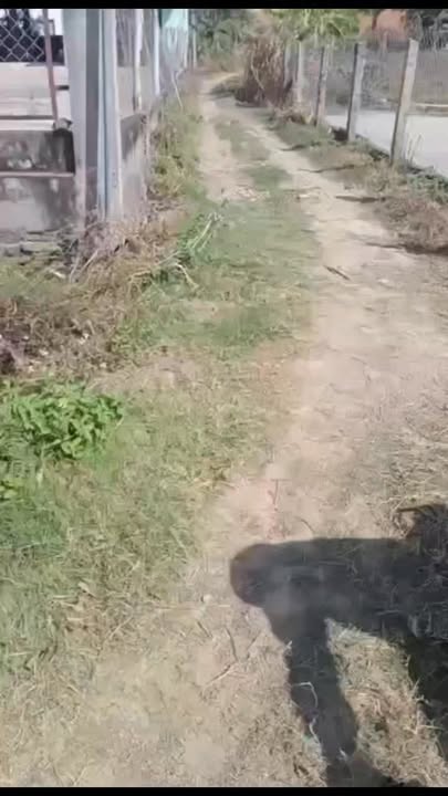 Đất nền Krông Pắc 480m² giá 1 tỷ - Sổ đỏ chính chủ, vị trí đẹp!