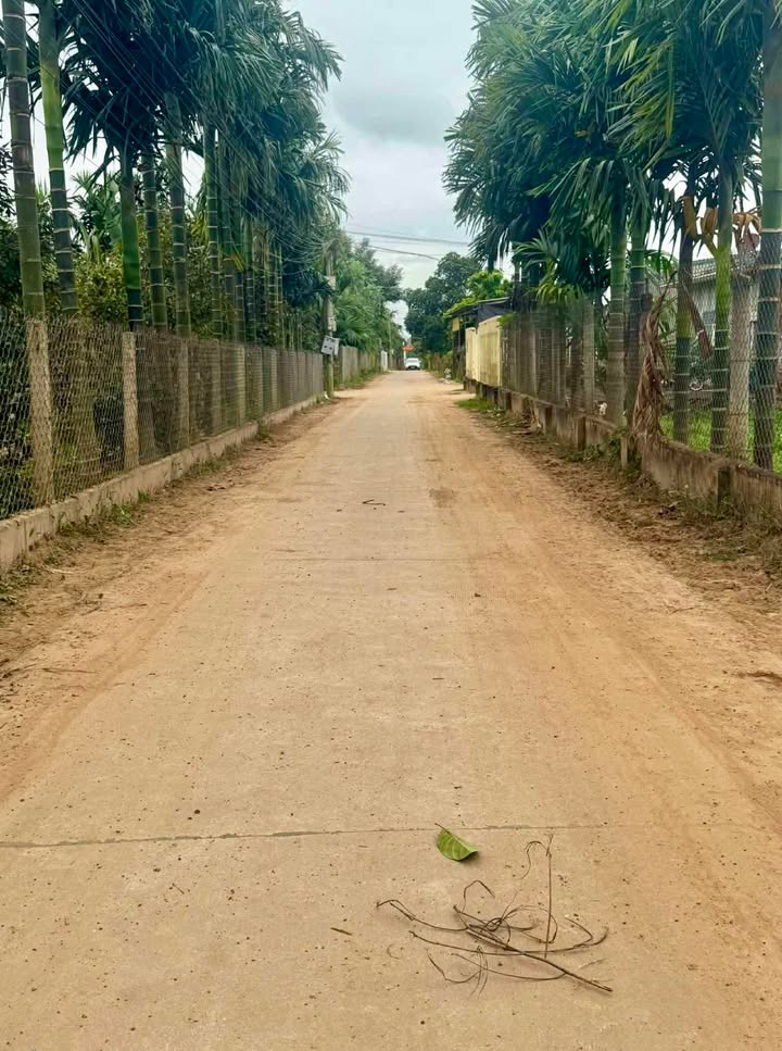 Đất nền Krông Pắc 230m² - Sổ đỏ chính chủ, đường bê tông thông thoáng!