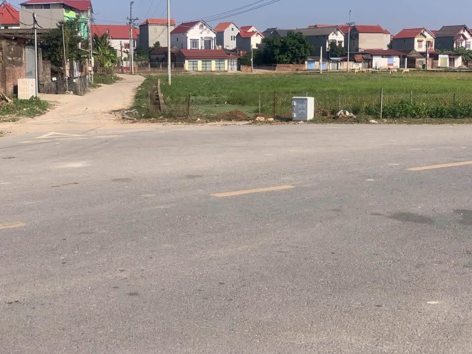 Đất Sóc Sơn 96m² - Ô tô vào tận nơi, nhỉnh 1 tỷ - Lộc đầu năm