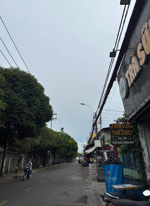 Mặt Tiền Kinh Doanh Hoàng Diệu 2, Thủ Đức - 96m², Giá Tốt