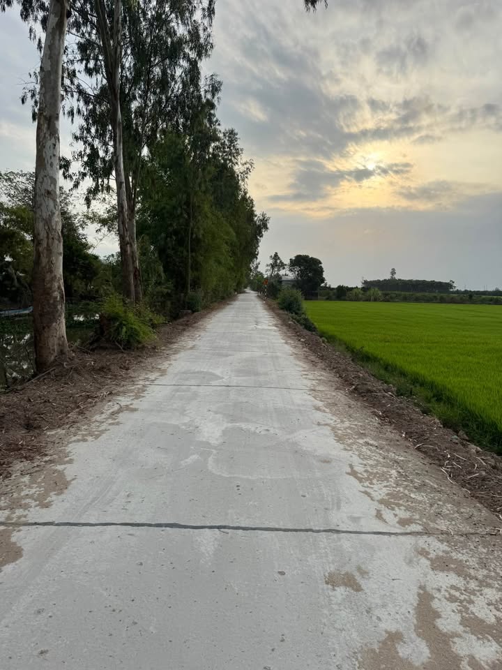 Bán 140.000m² Đất Nông Nghiệp Thoại Sơn, An Giang - Giá Tốt Đầu Tư