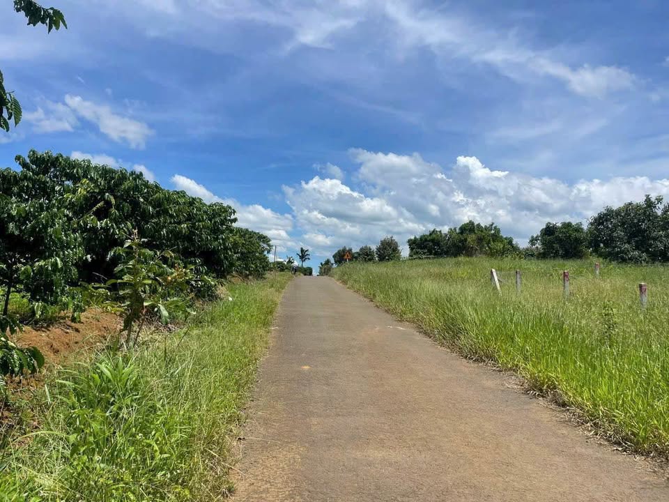 Đất Lộc An, Gò Vấp 232m² TC - Sổ Hồng Sẵn Sàng - Giá Đầu Tư 680 Triệu