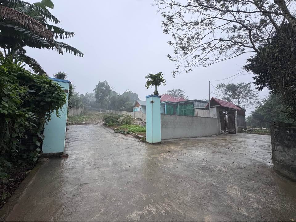 Đất vườn Cao Dương Lương Sơn 700m² hơn 1 tỷ - Nghỉ dưỡng lý tưởng