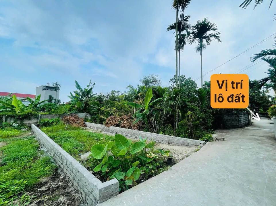 Đất nền Bắc Sơn An Dương 70m² giá 1.1 tỷ - Sổ đỏ chính chủ