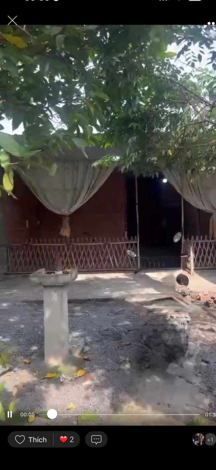 Nhà cấp 4 Vĩnh Lộc A, Bình Chánh 144m² - Ô tô vào tận nhà!