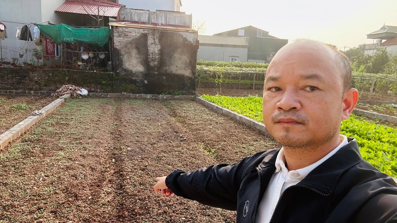 Bán đất Tự Nhiên Thường Tín 80m² - Đường thông ô tô, tiềm năng lớn