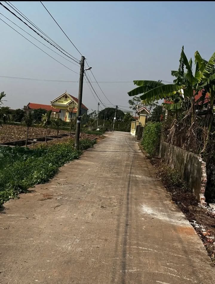 Đất nền tiềm năng Xã Khánh Công, Ninh Bình - Sổ đỏ, ô tô vào đất