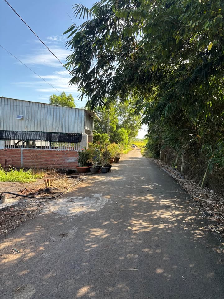 Đất Nền Bình Giã Châu Đức 210m² - Đường To Ô Tô, Giá Chỉ 1 Tỷ!