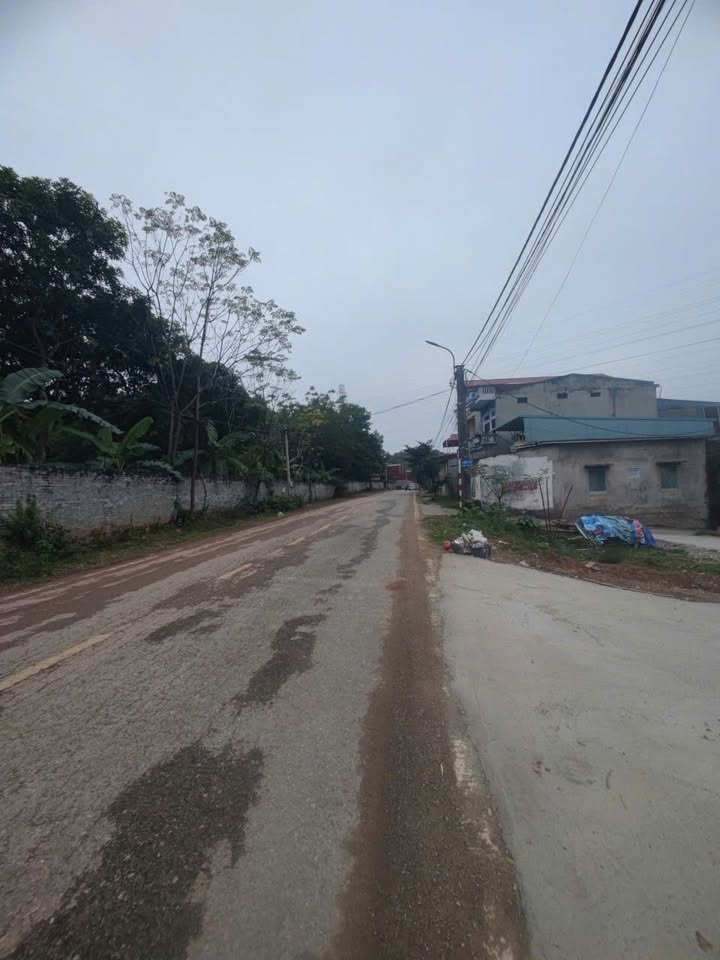 Đất vườn 1000m² Sơn Tây - Sổ hồng rõ ràng, đầu tư sinh lời!