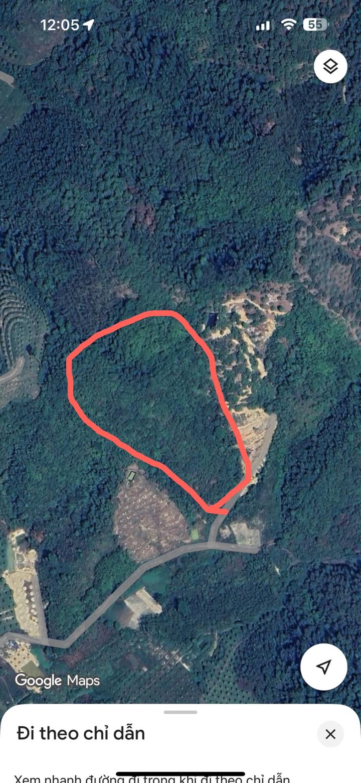 Đất Farm 4Ha Đạ Lây, Lâm Đồng - 2.3 Tỷ, Sổ Đỏ, Vườn Sầu Riêng & Điều