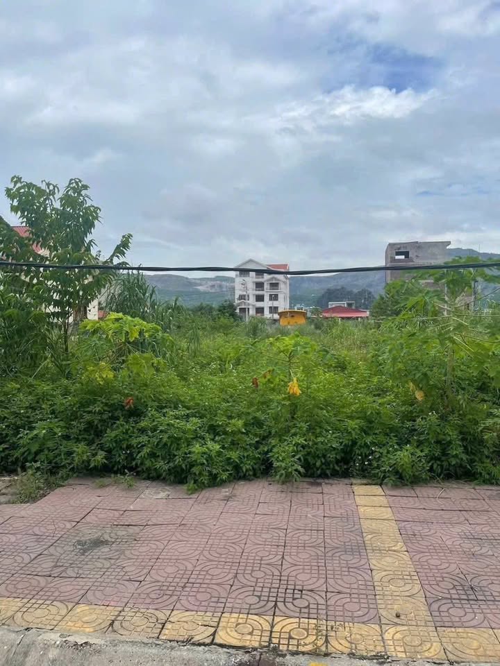 Đất nền Cẩm Bình, Quảng Ninh 287.5m² - Cắt lỗ sâu, hướng Nam