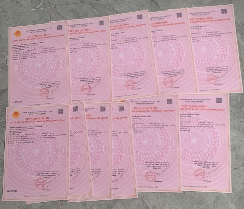 Đất nền Nhơn Trạch 100m² giá hơn 500 triệu - Đường to ô tô vào tận nơi!