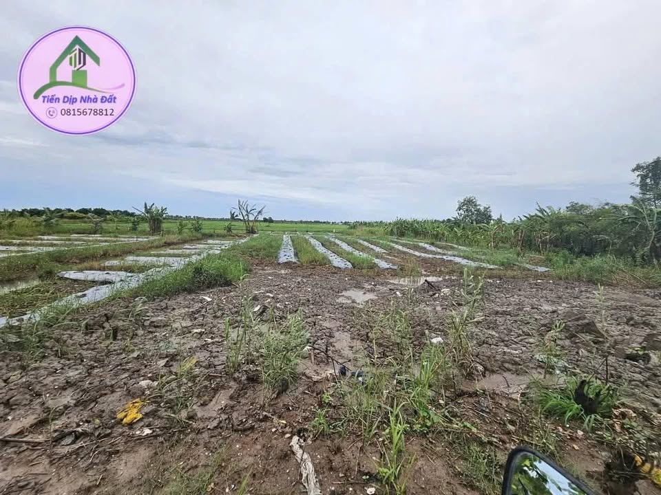 Đất nền Lý Văn Lâm Cà Mau 780m² giá 700 triệu - Sổ đỏ chính chủ!