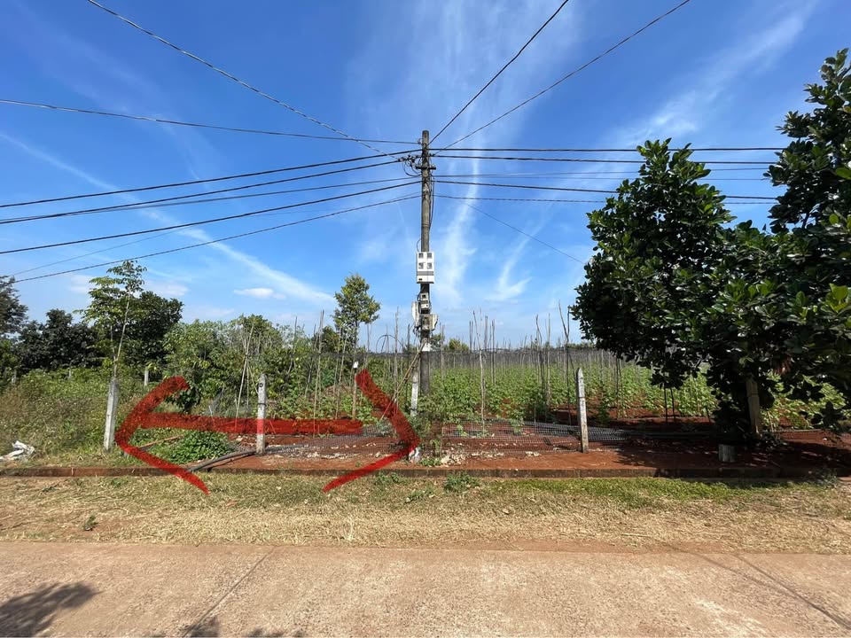 Đất nền Cư Suê, Cư M'gar 110m² giá 400 triệu - Sổ đỏ chính chủ!