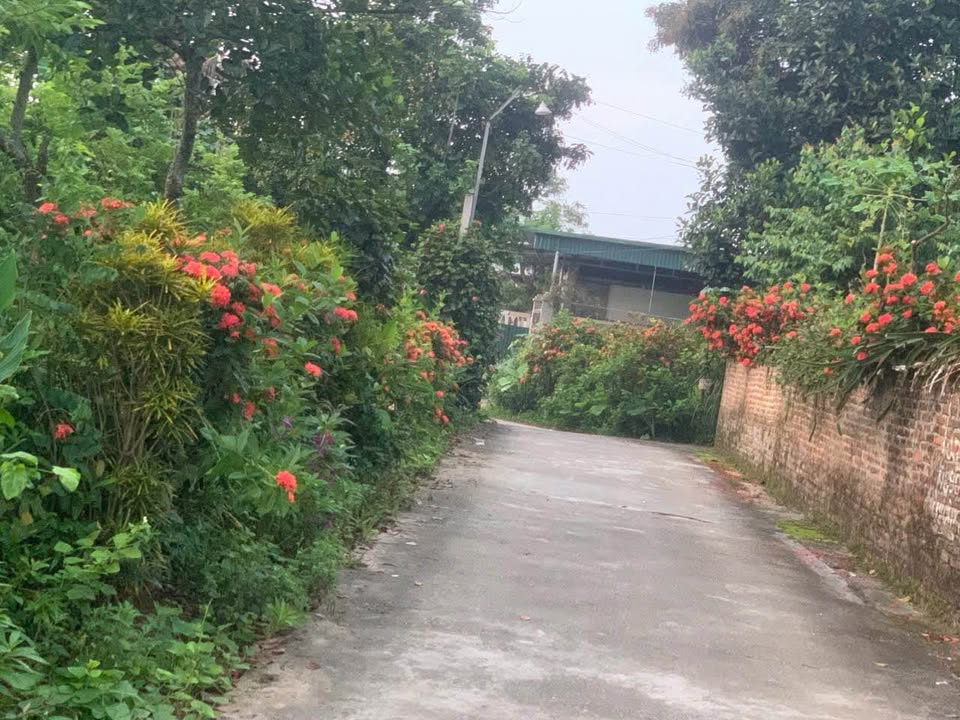 Bán Đất An Tường, Tuyên Quang 150m² - Sổ Đỏ Chính Chủ, Giá 1.58 Tỷ