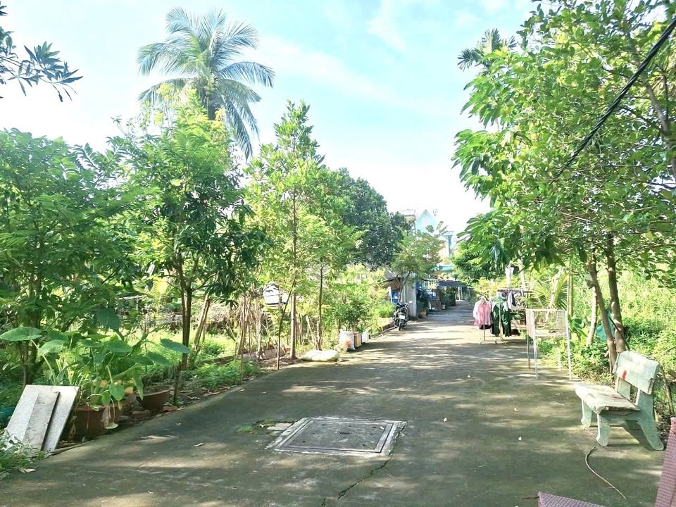 Đất Vàng Thủ Đức 173m² - Ngang 8.1m, Giá Dưới Định Giá Bank