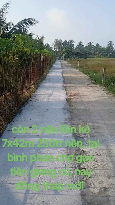 Đất nền Chợ Gạo Tiền Giang 306m² giá 250 triệu - Sổ hồng sẵn!