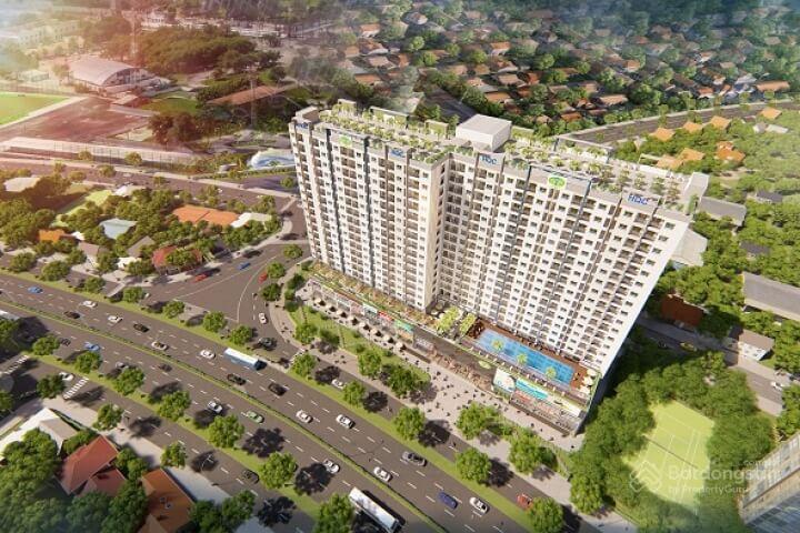 Shophouse Mặt Tiền Nguyễn Ái Quốc, Biên Hòa - Kinh Doanh Đa Ngành 65m²