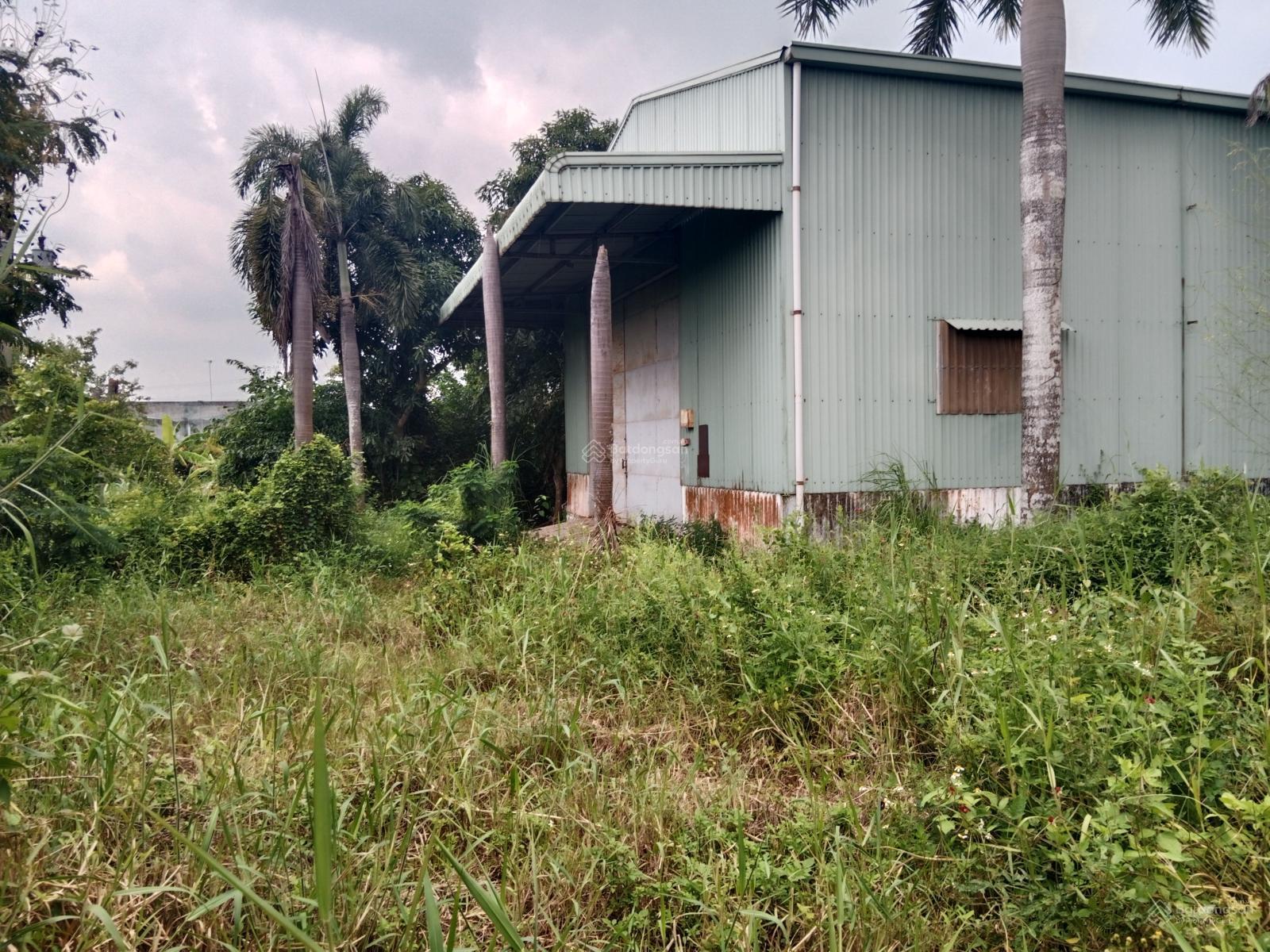 Kho xưởng Tân An 2.700m² – Container thoải mái, hoạt động ngay!