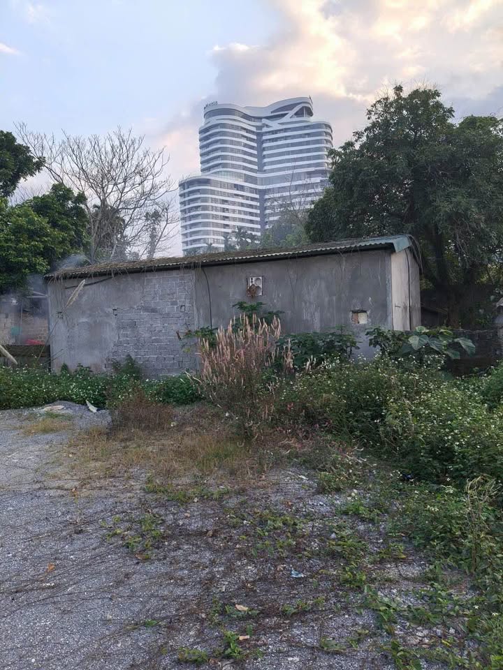 Đất 2 mặt tiền Bắc Cường Lào Cai 117m² giá 3.3 tỷ - Vị trí đắc địa