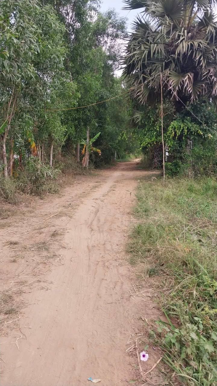 Đất Vĩnh Long 1000m² Mặt Tiền - Sổ Đỏ Sẵn Sàng Đầu Tư