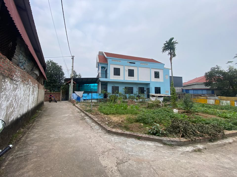 Đất Sóc Sơn 100m² Sổ Đỏ Full Thổ Cư - Gần Chợ Thanh Trí