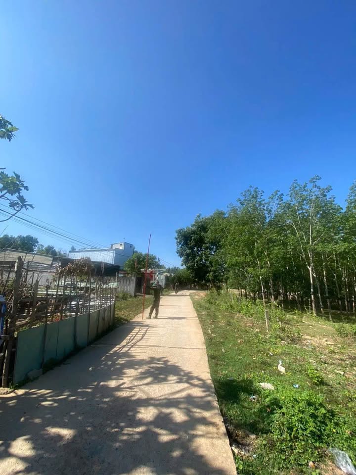 Đất Xã Đắk Cấm, Kon Tum 225m² - Sổ Đỏ Sang Tên Ngay