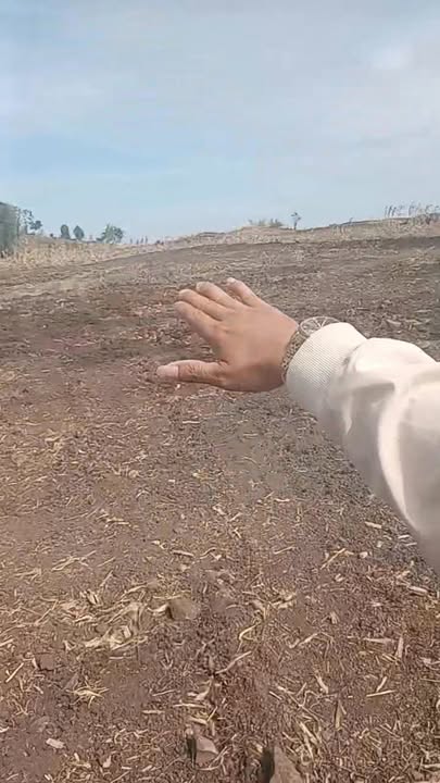 Đất nền Đăk Ha, Đắk Nông 1.8ha – Tiềm năng tăng giá vượt trội!