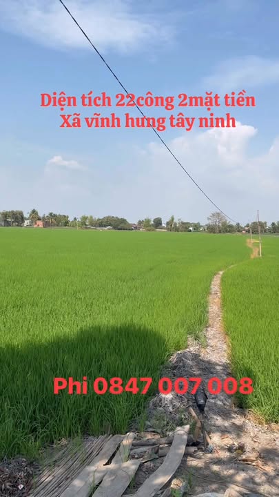 Bán 22.000m² đất Châu Thành Tây Ninh giá 2.86 tỷ - Sinh thái xanh!