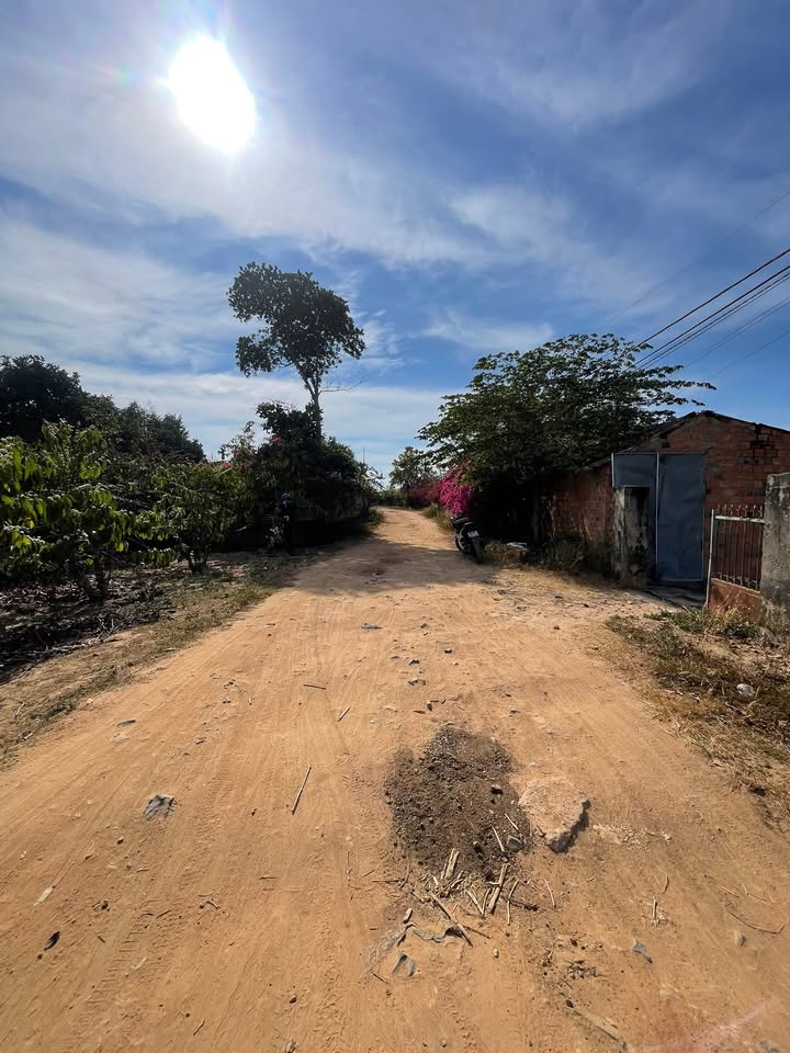 Bán đất Thôn Tân An, Kon Tum - 250m², 2xx triệu, Sẵn sàng xây nhà