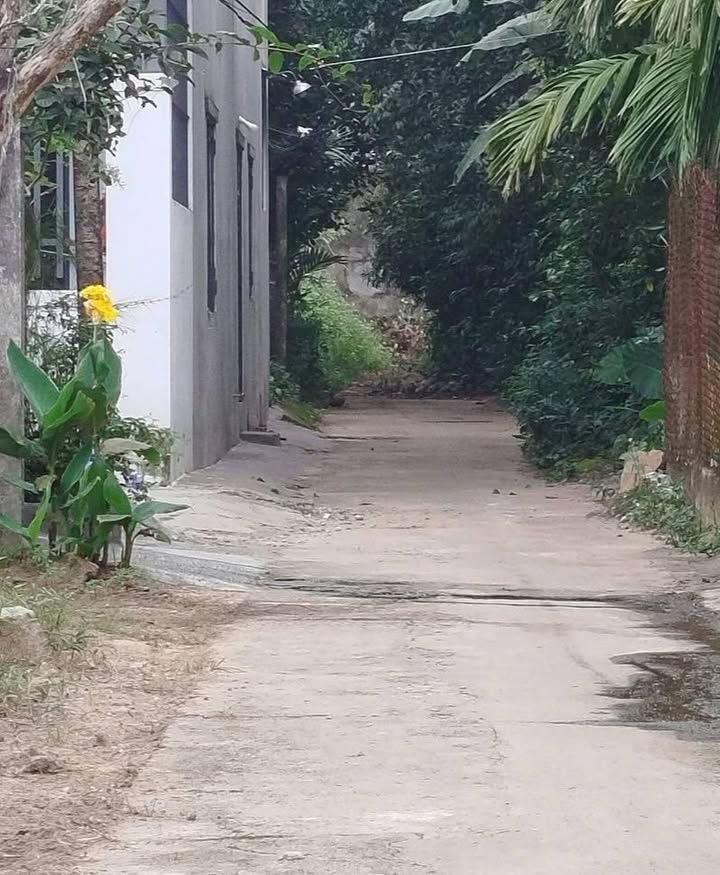 Bán Đất Nghĩa Kỳ, Quảng Ngãi 128m² - Hẻm Oto, Gần Trường Cơ Giới