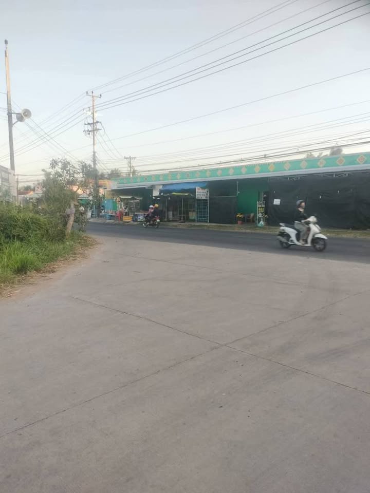 Bán Đất Vườn Ba Tri Bến Tre 12.000m² - Tiềm Năng Đầu Tư Sinh Lời Cao