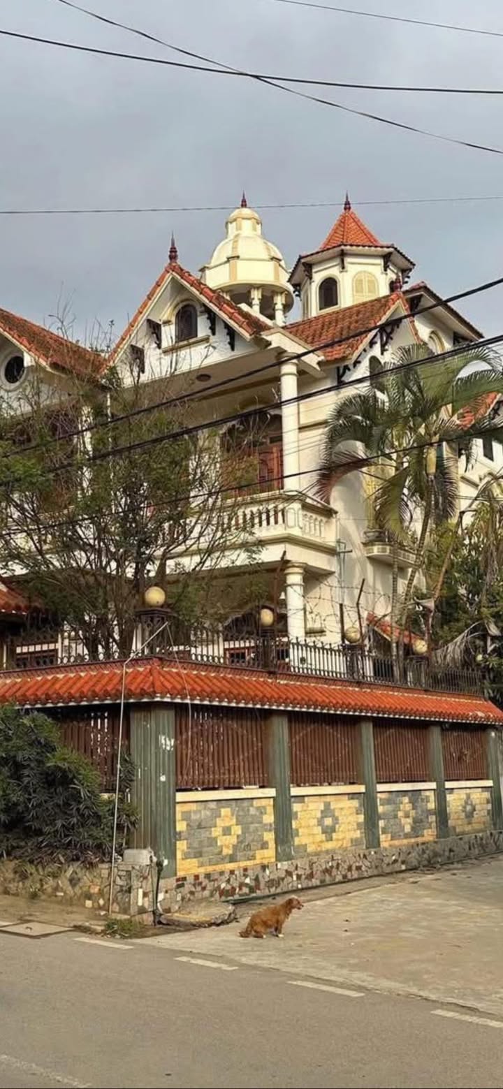 Biệt thự Mộc Châu 200m² - Vị trí đắc địa, đầu tư sinh lời!