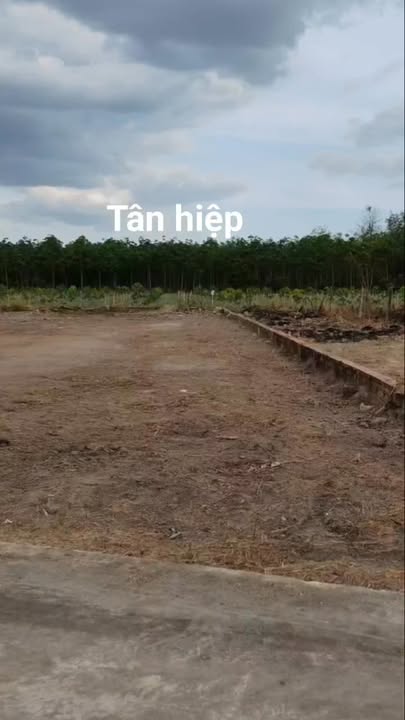 Đất nền Phước Sang Phú Giáo 228m² giá 650 triệu - Sổ hồng sẵn!