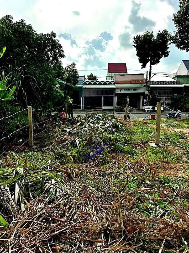 Bán đất Tân Thạnh, Long An 100m² giá 950 triệu - Sổ hồng thổ cư, bán gấp!