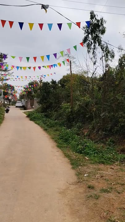 Đất vườn Yên Bài Ba Vì 700m² dưới 2 tỷ - Nghỉ dưỡng lý tưởng!