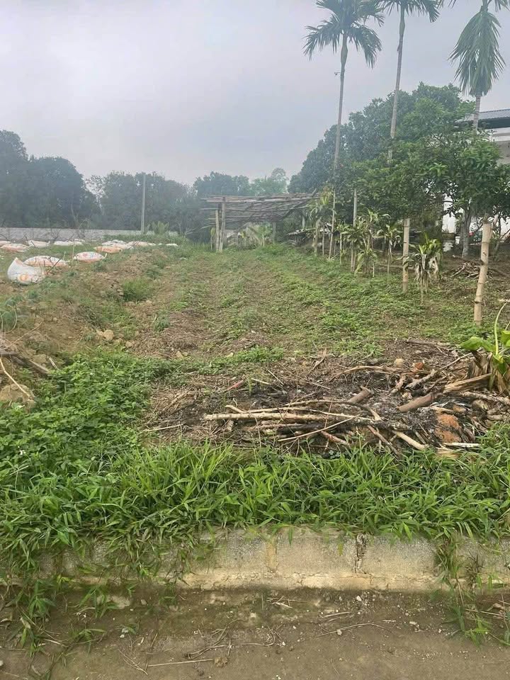 Đất nền Gia Sàng TP Thái Nguyên 206m² giá 1.4 tỷ - Sổ đỏ chính chủ