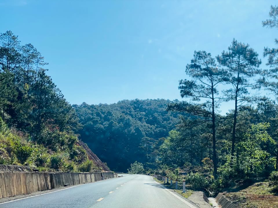 Cho thuê đất mặt tiền 10m đường Trần Khánh Dư, Măng Đen - Gần hồ