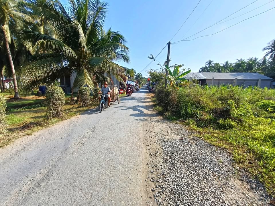 Bán Đất Mặt Tiền Đường Nhựa 392m² Hướng Bắc - Kinh Doanh Đa Ngành Nghề Tại Bến Tre