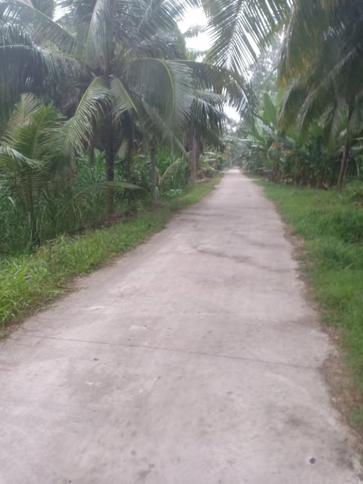 Đất nền Chợ Gạo 324m² chỉ 6xx triệu - Tiềm năng tăng giá vượt trội!