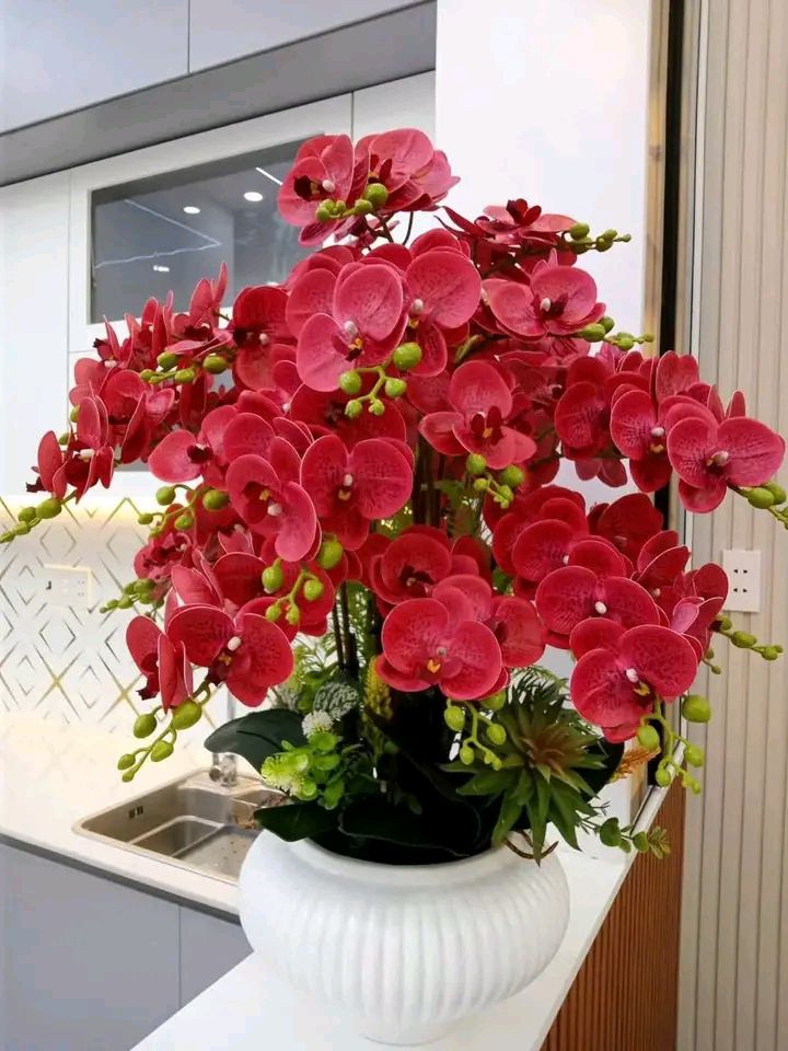 Bán Đất Nền Mỹ Phong, Mỹ Tho 69m² - Sổ Đỏ Chính Chủ, Giá Đầu Tư