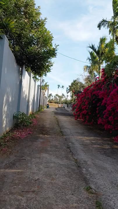 Nhà vườn Ea Tiêu, Cư Kuin 1080m² - Sinh thái xanh, sổ hồng rõ ràng!