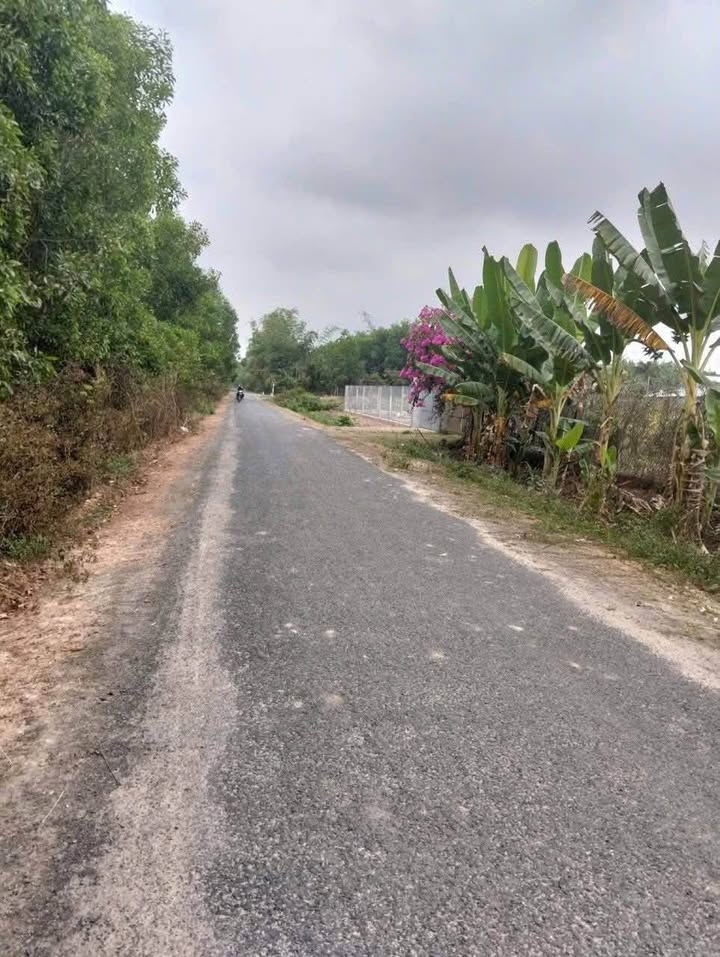 Đất nền Châu Thành Tây Ninh 200m² giá 299 triệu - Sổ đỏ chính chủ