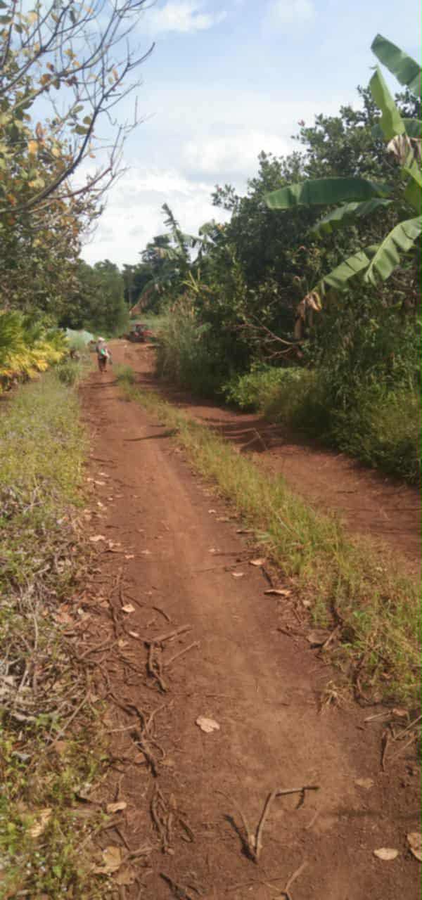 Đất vườn Tân Lập, Tân Biên 10.000m² giá 800 triệu - Đầu tư dài hạn!