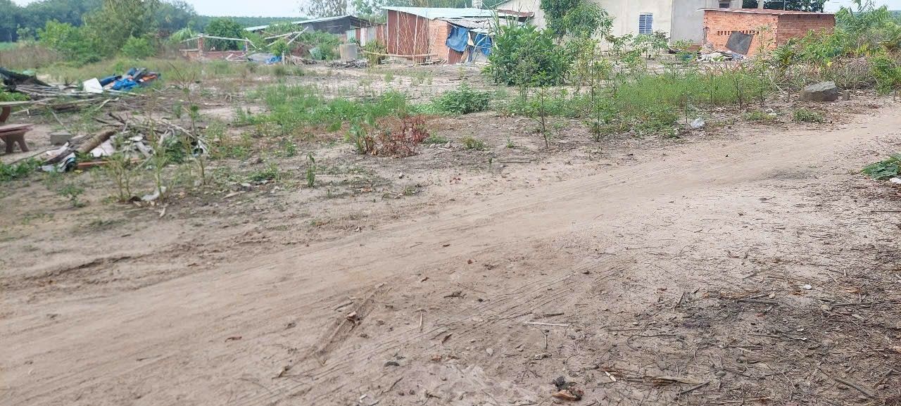 Đất nền Thạnh Bình, Tây Ninh 1421m² giá 450 triệu - Sổ đỏ chính chủ!