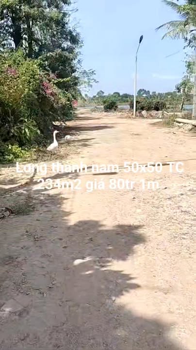 Đất thổ cư 234m² Long Thành Nam, Tây Ninh - Sổ hồng sẵn, giá đầu tư 2 tỷ