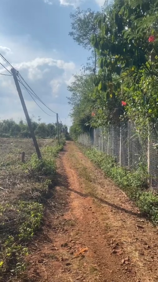 Đất Nền Phú Xuân Đắk Lắk 250m² - Chính Chủ 650 Triệu